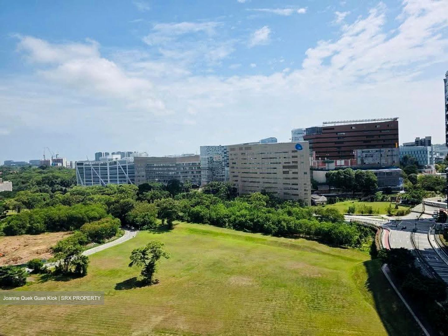 Blk 8 Holland Avenue (Queenstown), HDB 4 Rooms #613335701